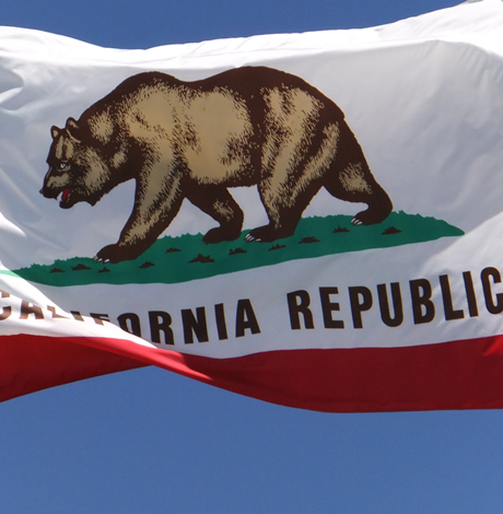 California_flag_460x470_by_Martin_Jambon_courtesy_Wikimedia_Commons