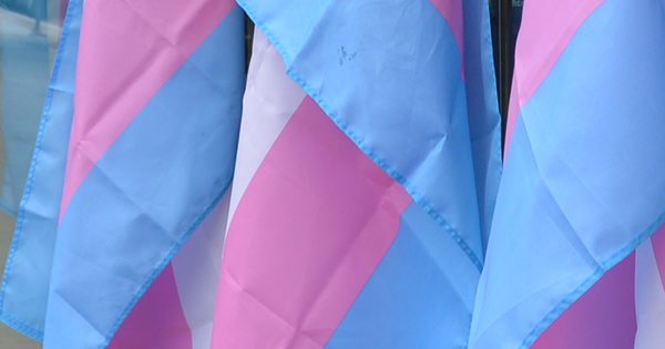 Trans_Pride_flags_social_media_c_Washington_Blade_by_Michael_Key