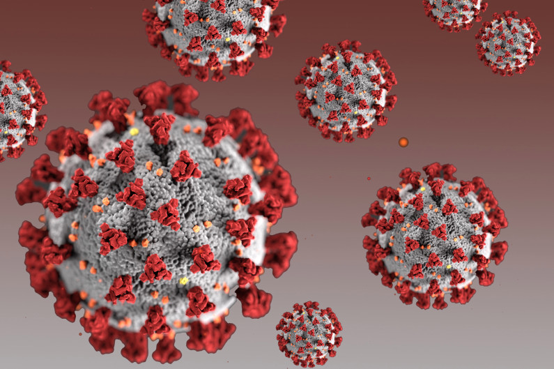 Coronavirus_illustration.jpg