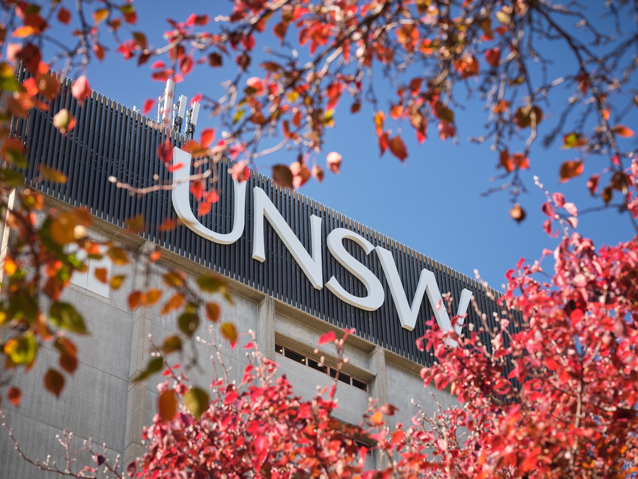 UNSW-Main-Sydney