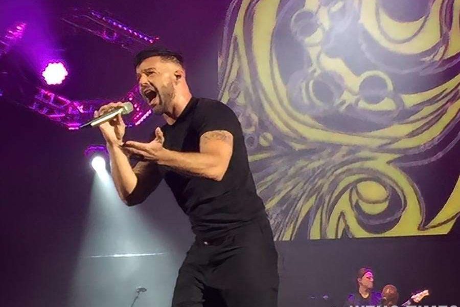 Ricky Martin will be the headliner for 2024 LA Pride in the Park