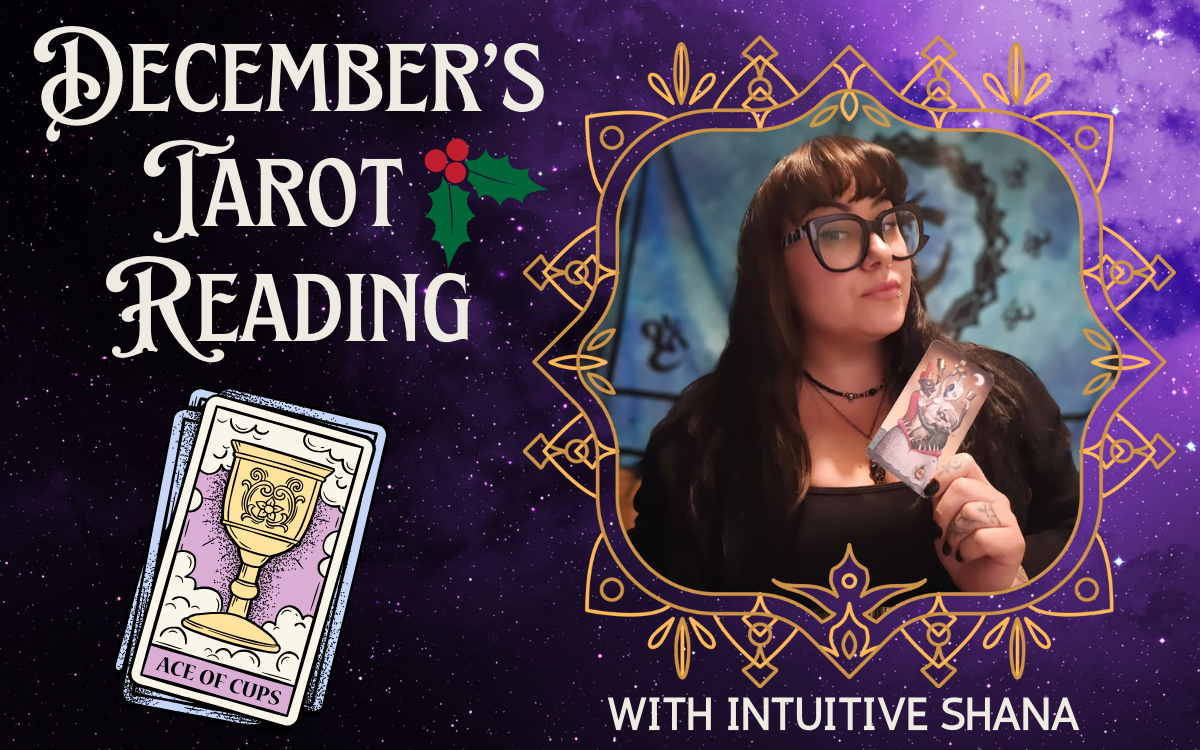 Intuitive Shana December Tarot Reading