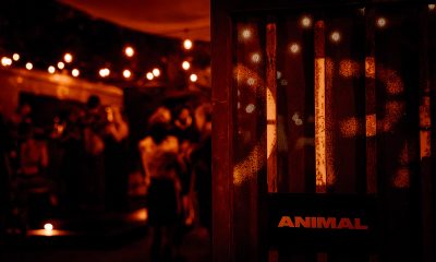 ANIMAL LA
