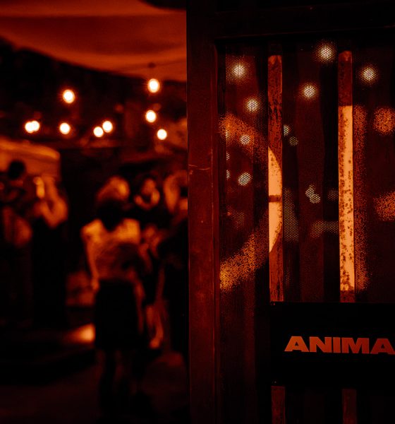 ANIMAL LA